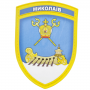 Нашивка Герб города Николаев