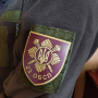 Шеврон ВСУ 23 отдельный батальон специального назначения