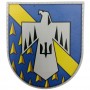 Шеврон ХНУПС з тризубом