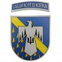 Шеврон ХНУПС з тризубом Caelum incipit ex nostrum
