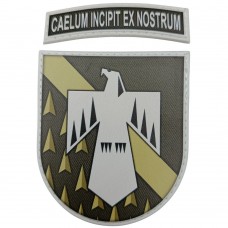 Шеврон ХНУПС Caelum incipit ex nostrum олива