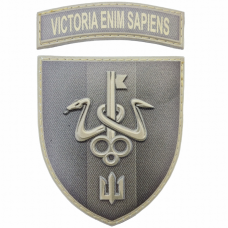Шеврон Школа морського піхотинця Victoria Enim Sapiens об'ємний олива