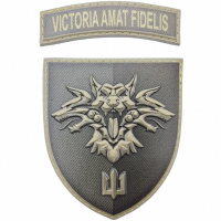 Шеврон 38 ОБрМП Victoria amat fidelis об'ємний олива