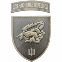 Шеврон 18 ОБМП Для нас немає перешкод объемный олива