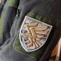 Шеврон ВСУ 95 отдельной десантно-штурмовой бригады мультикам