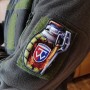 Шеврон граната  58 отдельная мотопехотная бригада