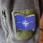 Шеврон флаг НАТО
