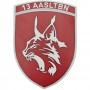 Шеврон ЗСУ МП 13 aasltbn 