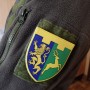 Шеврон ЗСУ 202 окремий батальйон ТрО