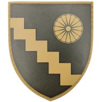 Шеврон ЗСУ Кадровий центр олива