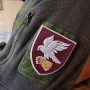 Шеврон ВСУ 421 окремий батальйон безпілотних систем