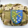 Шеврон ВСУ 142 отдельная пехотная бригада (обновленный)