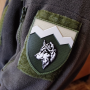 Шеврон 8 отдельный горно-штурмовой батальон олива