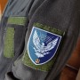 Шеврон ЗСУ 310 батальйон радіоелектронної боротьби