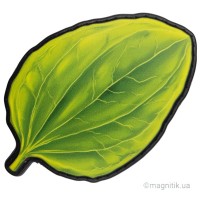 Шеврон Подорожник