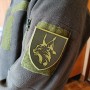  Шеврон ЗСУ Рись олива