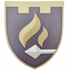 Шеврон ВСУ 11 отдельный батальон специального назначения олива