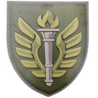 Шеврон ЗСУ 199 навчальний центр олива