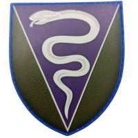 Шеврон ВСУ МОЗ