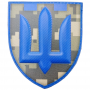 Нарукавный знак Силы териториальной обороны ТрО ВСУ пиксель