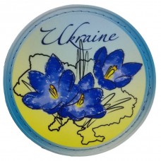 Нашивка № 6 Ukraine