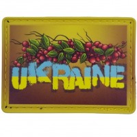 Нашивка № 20 Украина