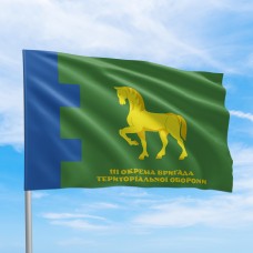 Флаг 111 бригада ТрО ВСУ