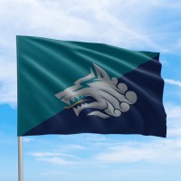 Оригинальный флаг морской пехоты 1 ОБ