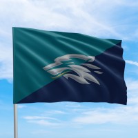 Оригинальный флаг морской пехоты 503 окремий батальйон