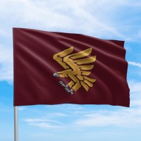 Оригінальний прапор 95 ДШВ