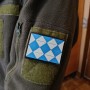 Шеврон Змійка