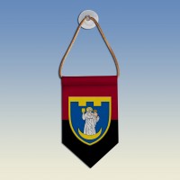  Вимпел 117 окрема бригада ТрО