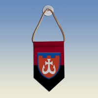 Вымпел 120 окрема бригада ТрО