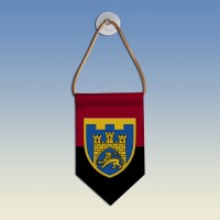 Вымпел 125 окрема бригада ТрО