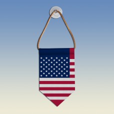  Вимпел США