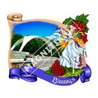 Керамические магниты для Винницы