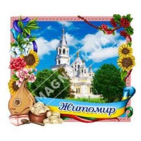 Объемные магниты. Житомир. Рамка бандура, цветы. Собор