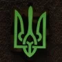 Шеврон Герб светонакопительный Laser Cut мультикам