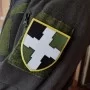  Шеврон ЗСУ 55 окремий полк зв'язку сухопутних військ