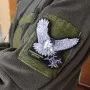Шеврон Птах і напис Радіоелектронна боротьба