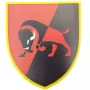 Шеврон  ВСУ 22 ОМБр