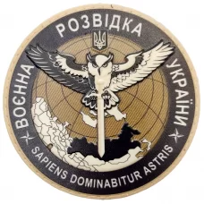 Шеврон ВРУ сова койот объемный