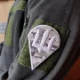 Шеврон Десантно-штурмовых войск Вооруженных Сил Украины мультикам