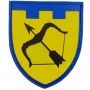 Шеврон ТрО 113 бригади ЗСУ Харків