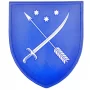 Шеврон Герб города Днепр