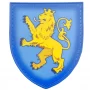 Шеврон Герб Львовской области