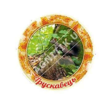 Керамические магниты. Трускавец. Тарелочка